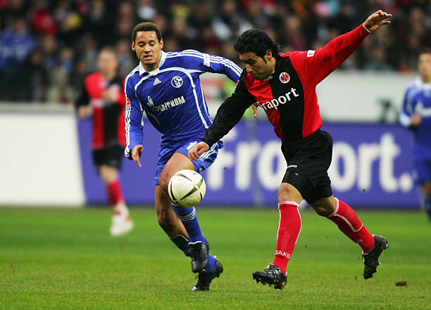 待已久的焦 待已久的焦